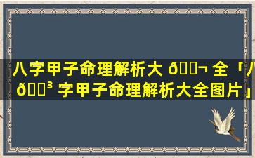 八字甲子命理解析大 🐬 全「八 🐳 字甲子命理解析大全图片」